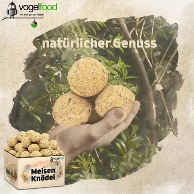 Meisenknödel ohne Netz Marke Vogelfood