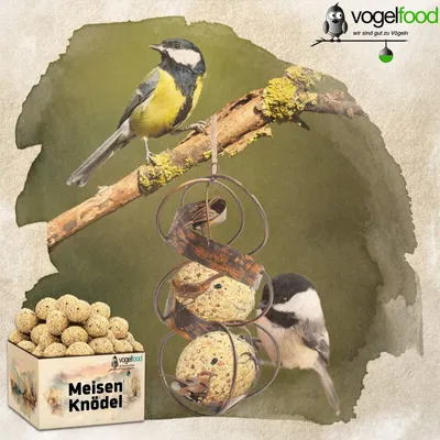 Meisenknödel ohne Netz Marke Vogelfood