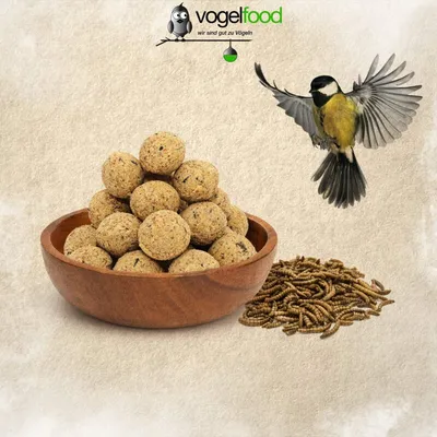 Meisenknödel mit Insekten ohne Netz Marke Vogelfood Meisenknödel mit Insekten ohne Netz Marke Vogelfood