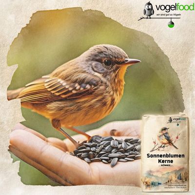 Sonnenblumenkerne schwarz Vogelfutter Marke Vogelfood