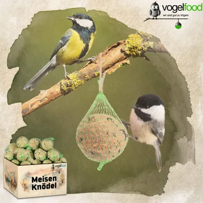 Meisenknödel mit Netz Marke Vogelfood Vogelfutter Meisenknödel mit Netz Marke Vogelfood Vogelfutter