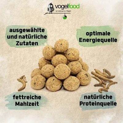 Meisenknödel mit Insekten ohne Netz Marke Vogelfood