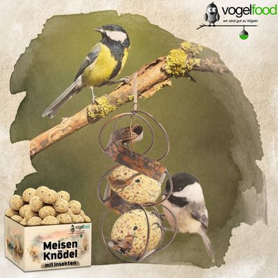Meisenknödel mit Insekten ohne Netz Marke Vogelfood