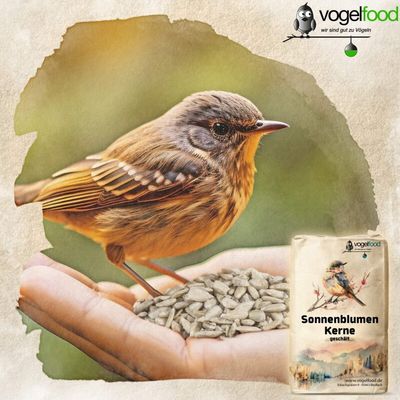 Geschälte Sonnenblumenkerne Vogelfutter Streufutter Marke Vogelfood