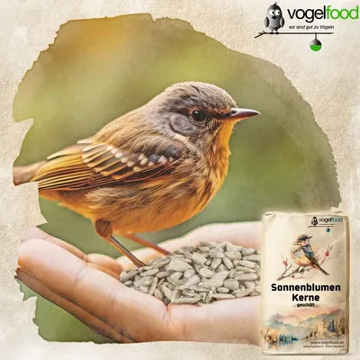 Geschälte Sonnenblumenkerne Vogelfutter Streufutter Marke Vogelfood