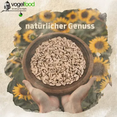 Geschälte Sonnenblumenkerne Vogelfutter Streufutter Marke Vogelfood Geschälte Sonnenblumenkerne Vogelfutter Streufutter Marke Vogelfood