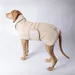 Caruso Hundebademantel Cozy Hug