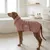 Caruso Hundebademantel Cozy Hug Caruso Hundebademantel Cozy Hug