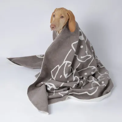 Caruso Hundedecke Dogs Caruso Hundedecke Dogs