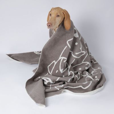 Caruso Hundedecke Dogs