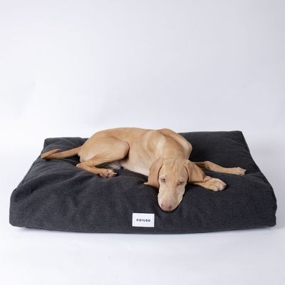 Caruso Hundebett Clean