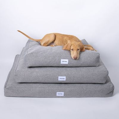 Caruso Hundebett Clean