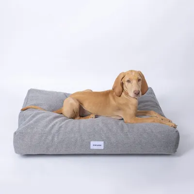 Caruso Hundebett Clean Caruso Hundebett Clean