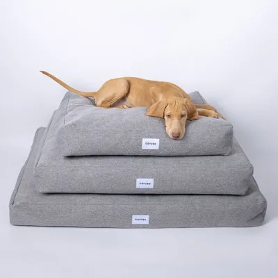 Caruso Hundebett Clean