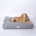 Caruso Hundebett Clean