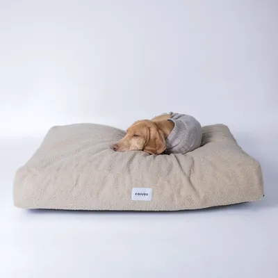 Caruso Hundebett Teddy Caruso Hundebett Teddy