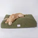 Caruso Hundebett Teddy