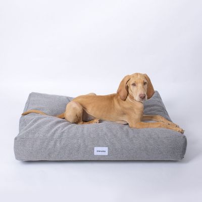 Caruso Hundebett Clean