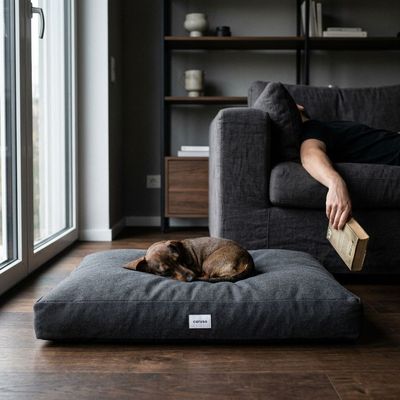 Caruso Hundebett Clean