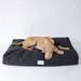 Caruso Hundebett Clean