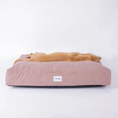 Caruso Hundebett Teddy Caruso Hundebett Teddy