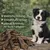 Rinderpansen Hundefutter Hundesnack getrocknet
