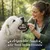Rinderpansen Hundefutter Hundesnack getrocknet
