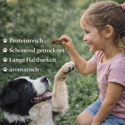 Rinderpansen Hundefutter Hundesnack getrocknet