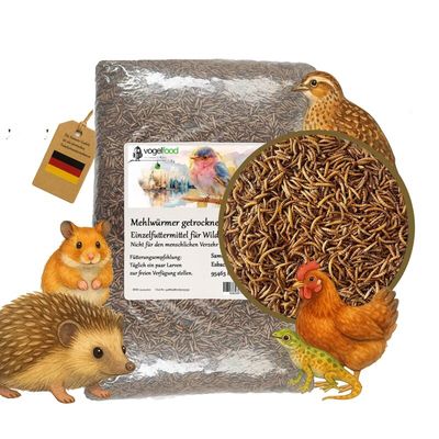 Getrocknete Mehlwürmer Futtermittel