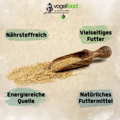 25 kg Hirse gelb Vogelfutter Wellensittichfutter Wildvogelfutter 25 kg Hirse gelb Vogelfutter Wellensittichfutter Wildvogelfutter