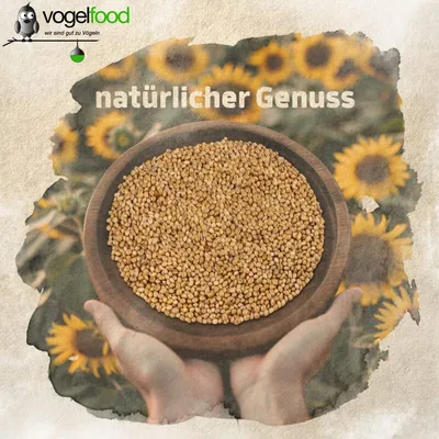 25 kg Hirse gelb Vogelfutter Wellensittichfutter Wildvogelfutter 25 kg Hirse gelb Vogelfutter Wellensittichfutter Wildvogelfutter