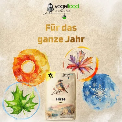 25 kg Hirse gelb Vogelfutter Wellensittichfutter Wildvogelfutter 25 kg Hirse gelb Vogelfutter Wellensittichfutter Wildvogelfutter