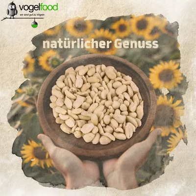 Erdnüsse Erdnusskerne Erdnusssplits (halbe und ganze Kerne) Marke Vogelfood Erdnüsse Erdnusskerne Erdnusssplits (halbe und ganze Kerne) Marke Vogelfood