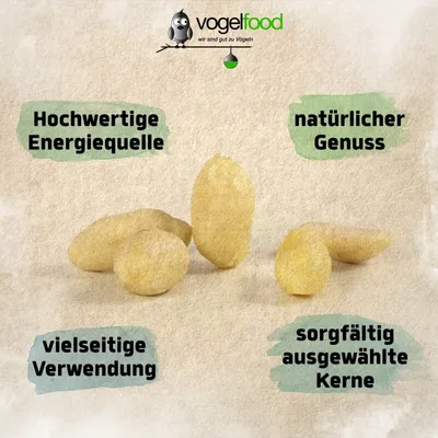 Erdnüsse Erdnusskerne Erdnusssplits (halbe und ganze Kerne) Marke Vogelfood