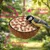 Gefüllte halbe Kokosnüsse für Wildvögel Marke Vogelfood