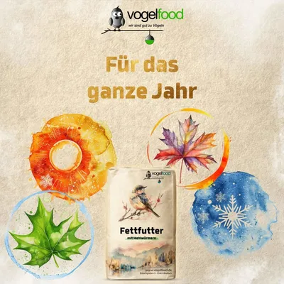 Fettfutter mit Mehlwürmern für Wildvögel Marke Vogelfood Fettfutter mit Mehlwürmern für Wildvögel Marke Vogelfood