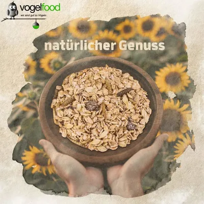 Fettfutter mit Mehlwürmern für Wildvögel Marke Vogelfood