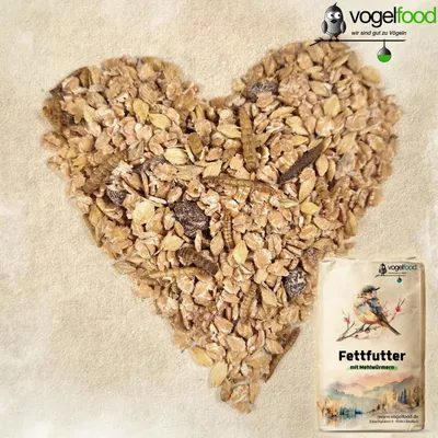 Fettfutter mit Mehlwürmern für Wildvögel Marke Vogelfood Fettfutter mit Mehlwürmern für Wildvögel Marke Vogelfood