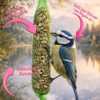 Erdnuss-Stangen Erdnussstangen a 90g Vogelfutter Marke Vogelfood