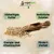 Streufutter schalenlos Marke Vogelfood Streufutter schalenlos Marke Vogelfood