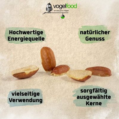 Erdnusskerne Erdnüsse Splits (halbe und ganze Nüsse) teilblanchiert