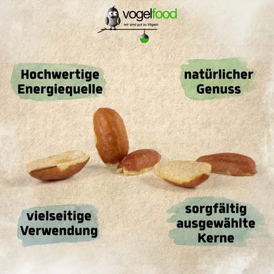 Erdnusskerne Erdnüsse Splits (halbe und ganze Nüsse) teilblanchiert Erdnusskerne Erdnüsse Splits (halbe und ganze Nüsse) teilblanchiert