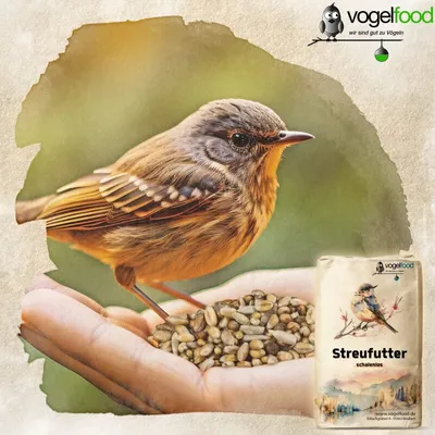 Schalenloses Streufutter mit Mehlwürmern Marke Vogelfood
