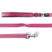 Curli Basic Leine Nylon Fuchsia