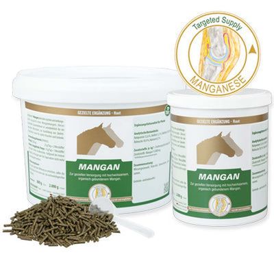 Equipower Mangan