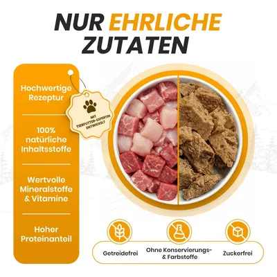 Hungry Lions - Hochwertiges BIO Katzennassfutter Hungry Lions - Hochwertiges BIO Katzennassfutter
