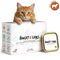 Hungry Lions - Hochwertiges BIO Katzennassfutter Lamm - 10 x 100g Portion