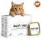 Hungry Lions - Hochwertiges BIO Katzennassfutter Lamm - 10 x 100g Portion