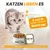 Hungry Lions - Hochwertiges BIO Katzennassfutter Hungry Lions - Hochwertiges BIO Katzennassfutter