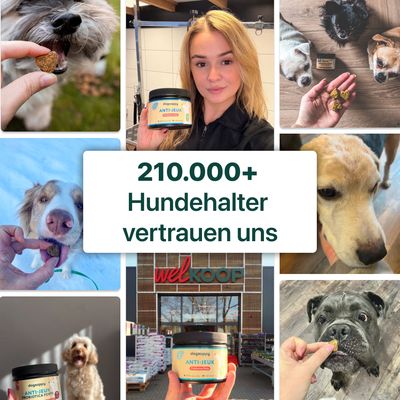Dental Bright Zanhpulver für Hunde Zahnpflege Pulver Plaqueoff